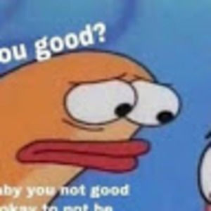 Meet your Posher, Josephine